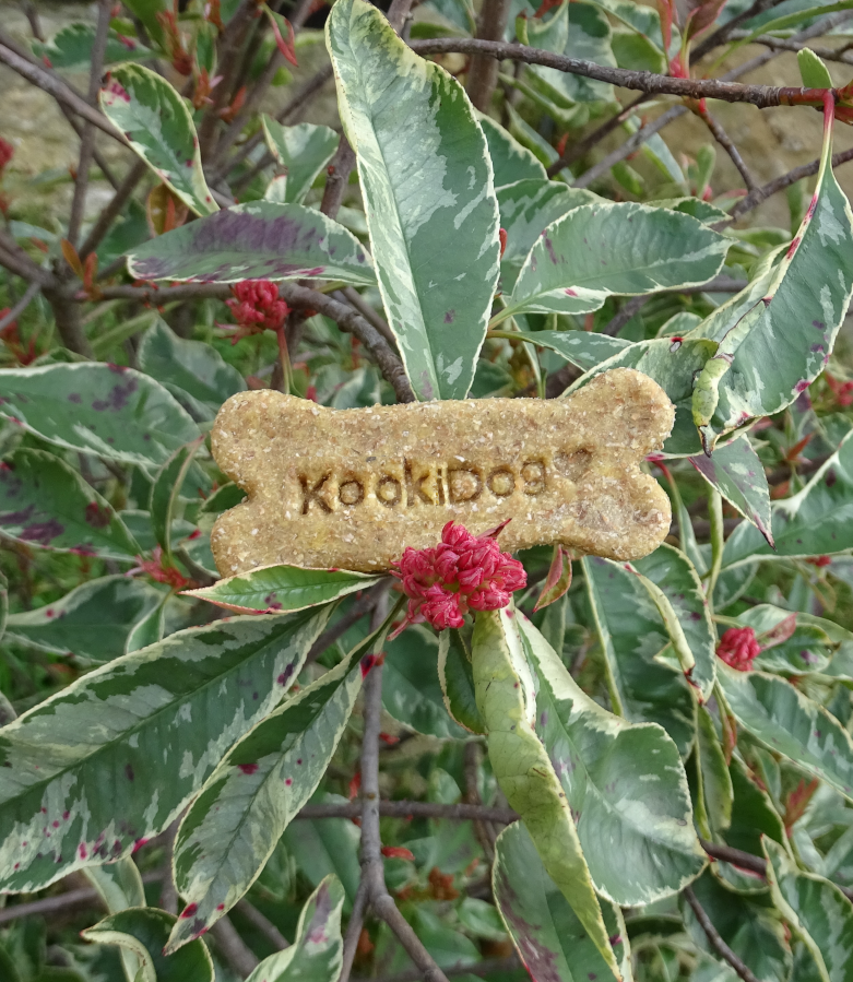 Biscuits KookiDog 🦴